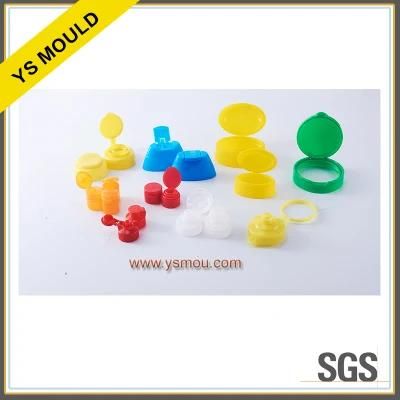 Plastic PP Flip Cap Mould (YS528)