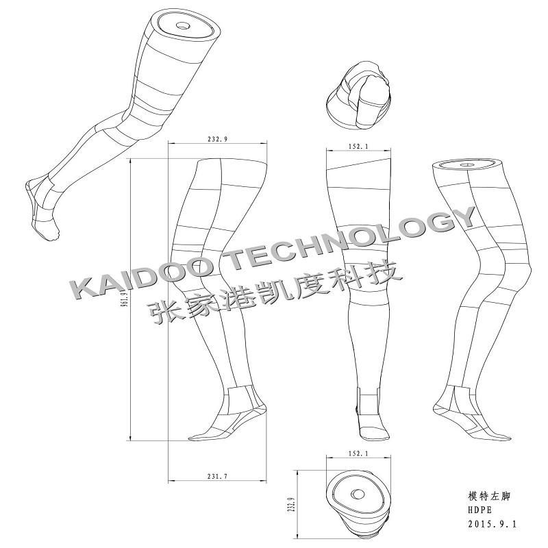 Plastic Model /Plastic Mannequin Blow Mould/Blow Mold