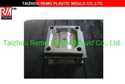 Plastic Switch Mould