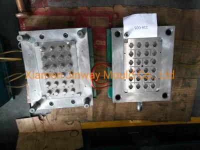 China Mold Factory Custom Design Double Color Mould Plastic Injection