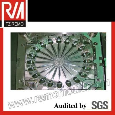 High Quality Plastic Spoon Mould
