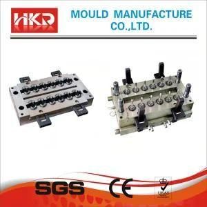 Pet PP PC Preform Injection Mould