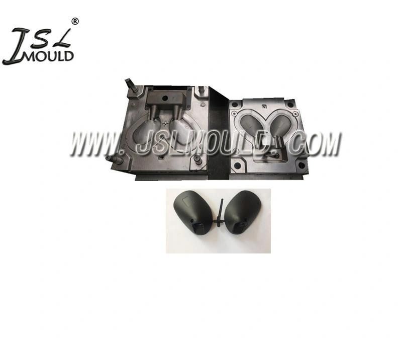 Experienced Making Plastic Two Wheeler Side Cover Mould