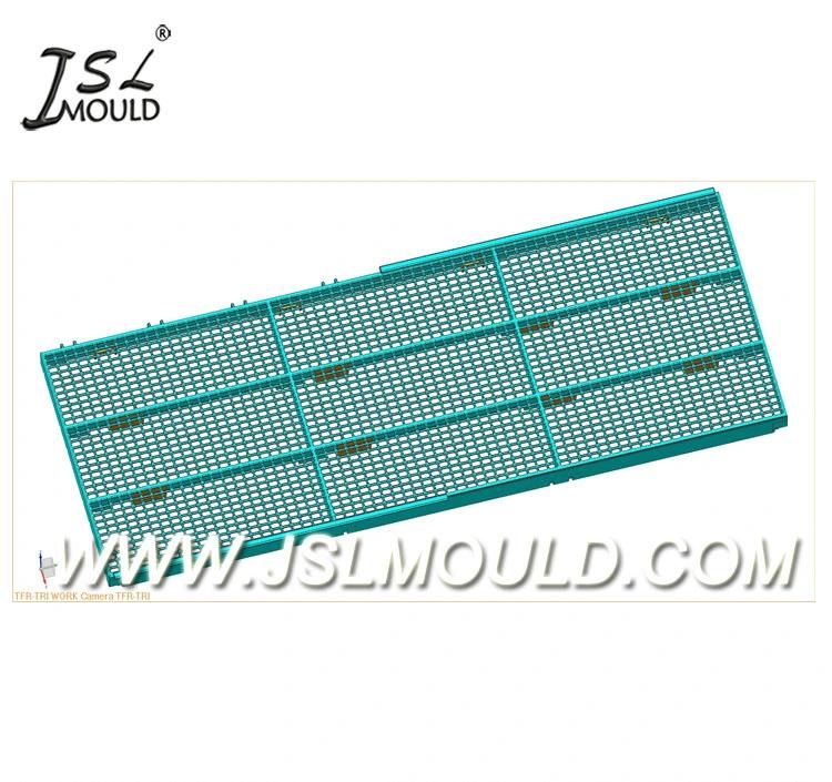 Customized Injection Plastic Poultry Slat Boiler Floor Mould