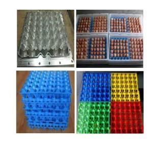 Professional Plastic Egg Tray Holder Mould Manufacturer