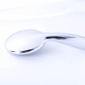 Silver Chrome ABS Enclosure Filtered Water Heaters Detachable Shower Head