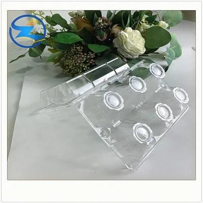 Thermoform Plastic Parts Shell Display Sculpture Bending Tray Medical for Food Packing ...