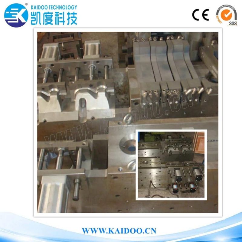 5L Blow Mould (Double cavity) /Blow Mold