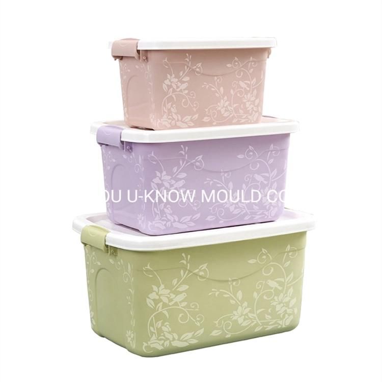 Portable Plastic Storage Box Mould with Lid