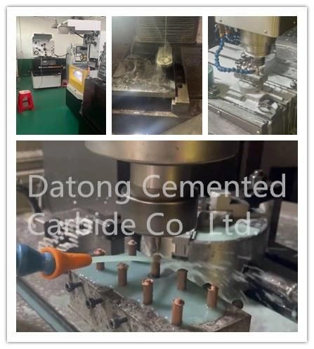 Various Shapes of Drawing Dies. Stretching Mold. Hot Extrusion Die