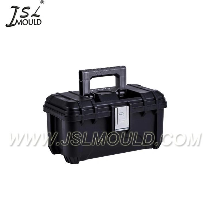 Custom Made Injection Plastic Tool Box Mould
