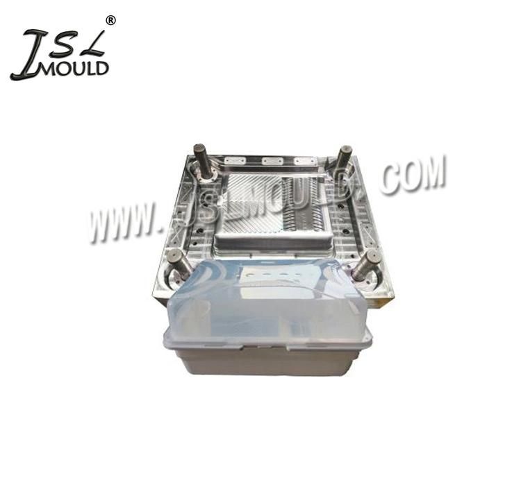 China High Quality Plastic Dish Drainer Mould