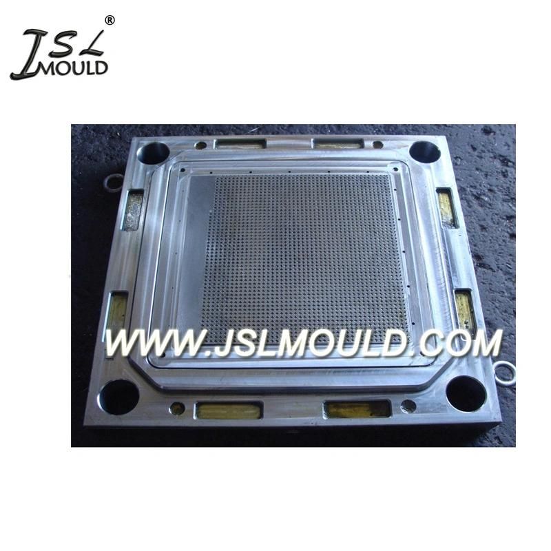 China Professional Quality Plastic Interlocking Floor Tile Mould