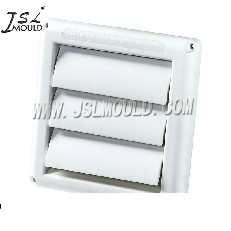 High Quality Plastic Car Window Louver Mould