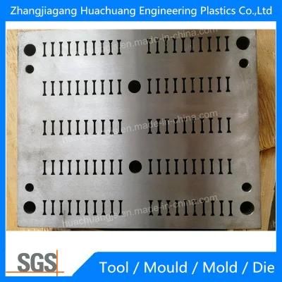 Plastic Extrusion Mould for Polyamide PA66 GF25 Thermal Break Strip Extruder