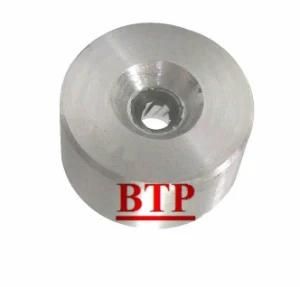 Tungsten Alloy Cold Forming Die Screw Mould (BTP-D402)