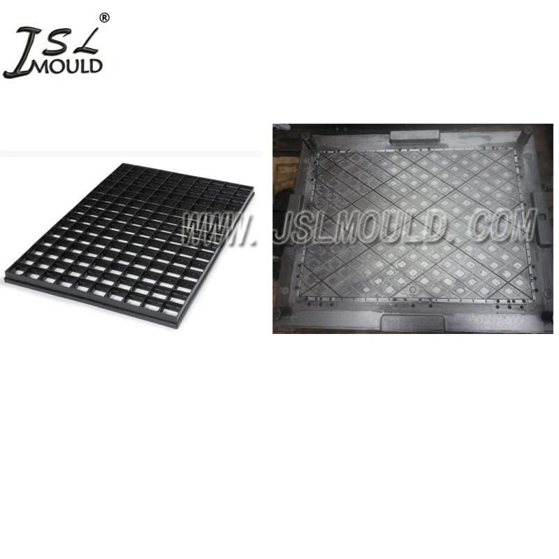 Experienced Customized Plastic Egg Hatcher Tray Mould