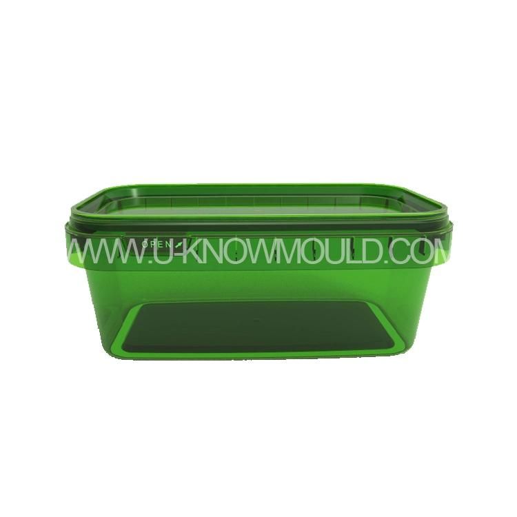 Plastic Food Container Mold/Plastic Container Mould