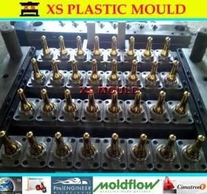 Pet Preform Mould