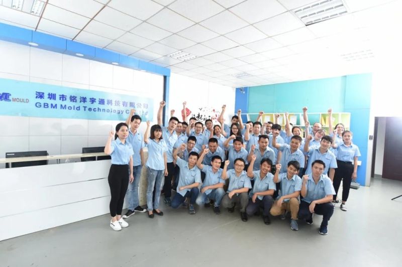 China Manufacturer Customized Plastic Injection Mould Pet Preform Mould