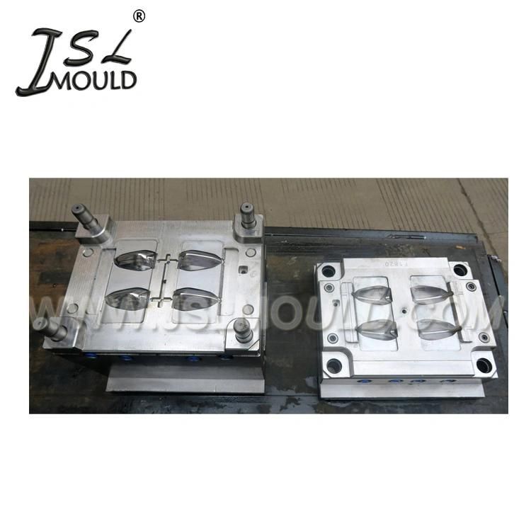 Custom Made Plastic Scooter Blinker Injection Mould