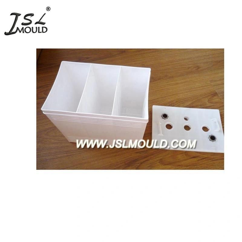 Taizhou Experienced Premium Plastic Car Battery Container Mold Factory