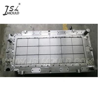 Injection Plastic Mould for Broiler Chicken Plastic Slat Floor