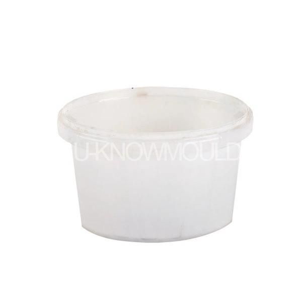 Plastic Paint Bucket Mould with Lid /Plastic Panting Bucket Mold