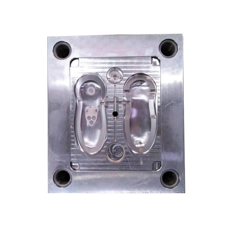 Custom Precision PMMA Plastic Injection Mold for Electronic Technical Components