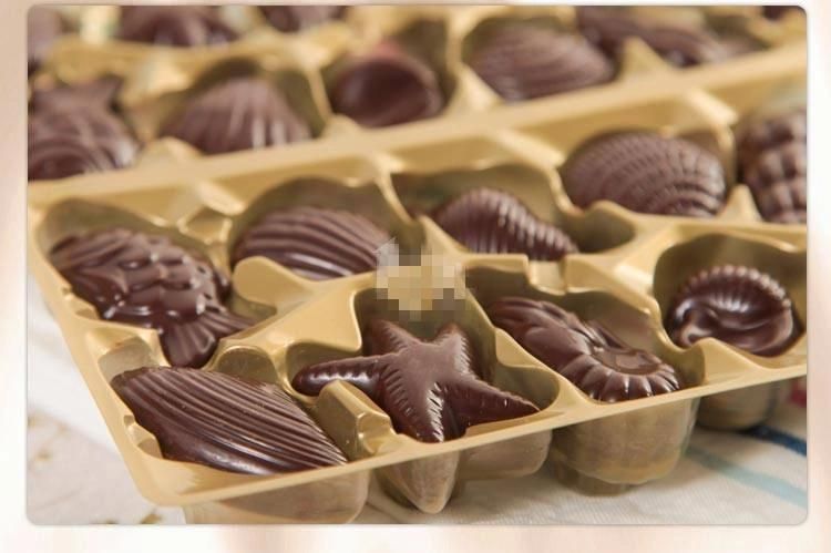 Chocolate Mould (Sea Shell)