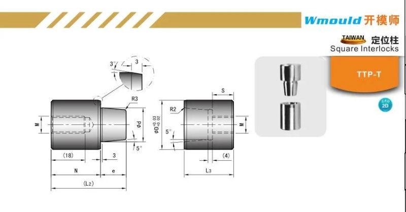 Ttp-T Plastic Injection Mould Parts Square Interlocks