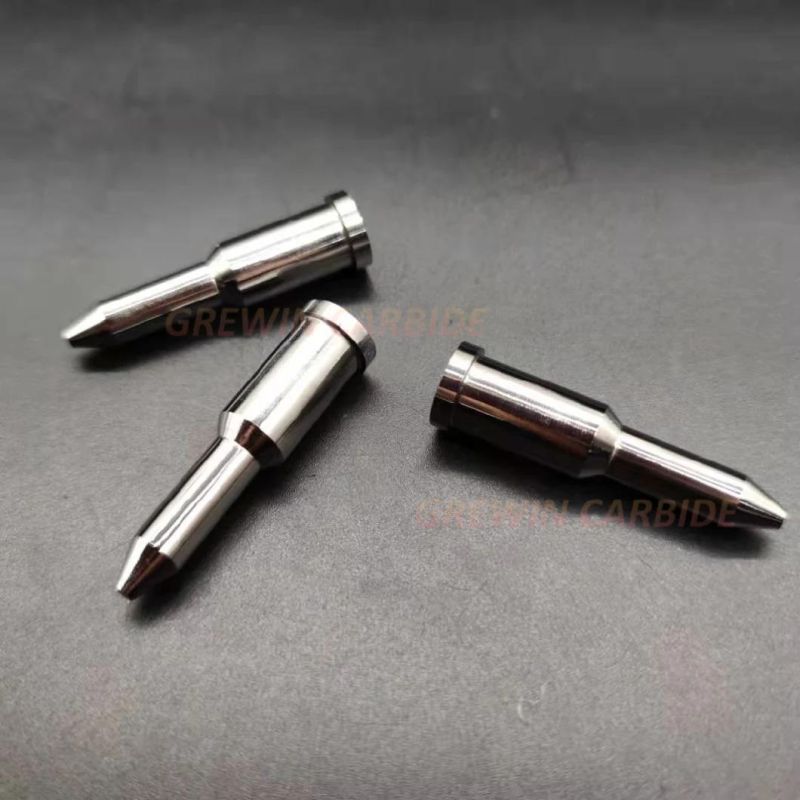 Gw Carbide-Tungsten Carbide Location Pins for Automatic System