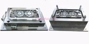 Automobile Radiator Fan Mould-4