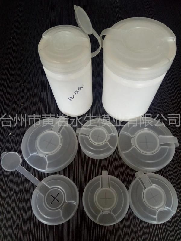 Various Kinds Plastic Injection Cap Mould