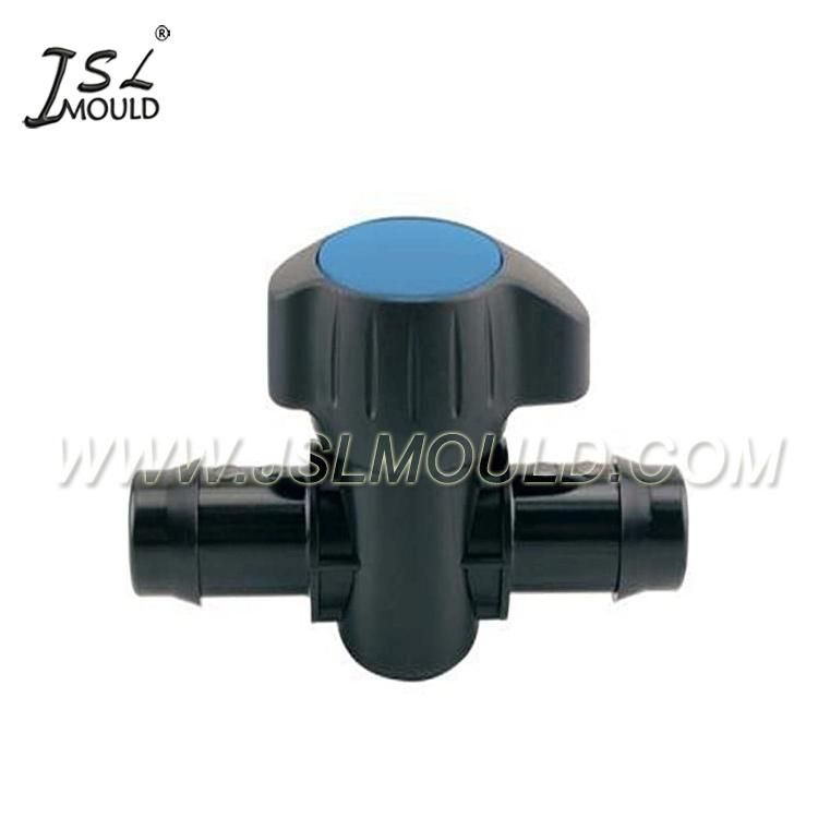 High Quality Plastic Injection Valve Mould