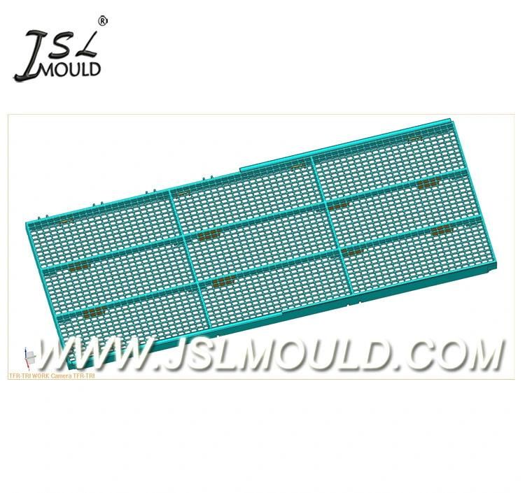 Quality Mold Factory Professional Experienced Injection Plastic Broiler Chicken Slat Floor Mould