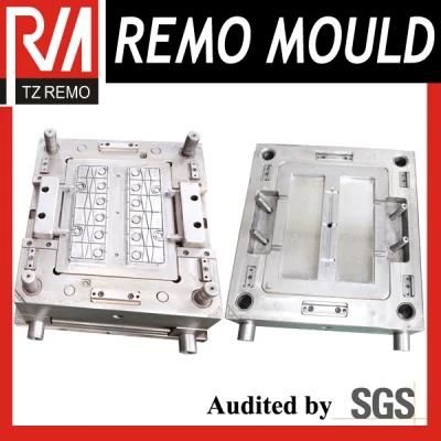 Plastic Auto Battery Case Mould