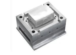 Crisper Mould