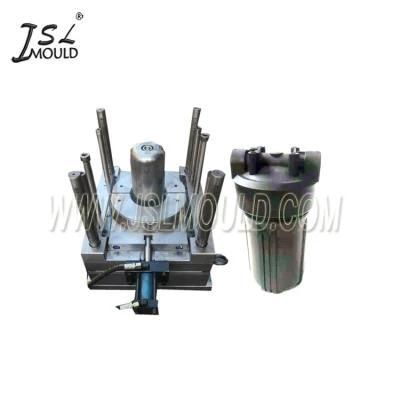 Professional Plastic 10inch Jumbo Water Filter Housing Mould