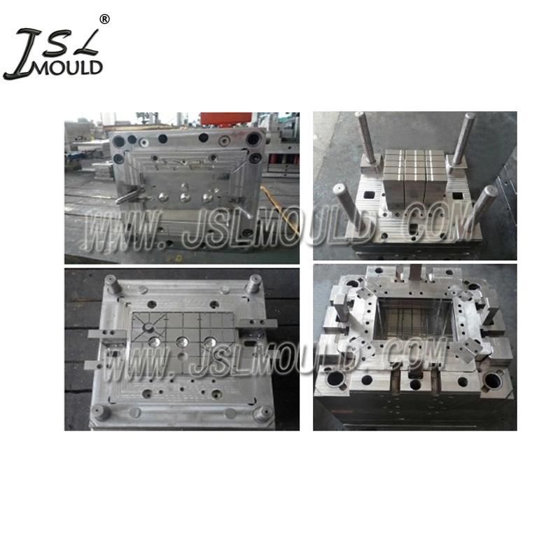 OEM Rich Experienced Injection Car Battery Container Mould