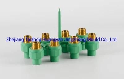 ISO Certificated PPR Female Adapter Pipe Fitting Mould/Moulding