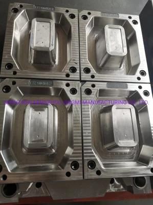 Plastic Injection Fast Food Container Cover Lips Box Injection Mould Mold Maker Single Use ...