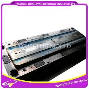 Plastic Injection Car Protection Strip Mold