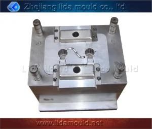 Plastic Injection Mold for Auto Plastic Part (LIDA-A03D)